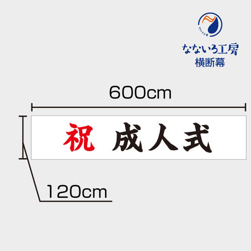 祝成年者式 横断幕 祝 幕 吹き流し ターポリン幕 6000×1200