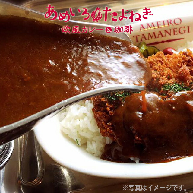 送料無料　剛家カレー　あめいろたまねぎ　本格カレールゥ　3人前×6パック　　メーカー直送　同梱不可代引不可送料無料 大容量 業務用