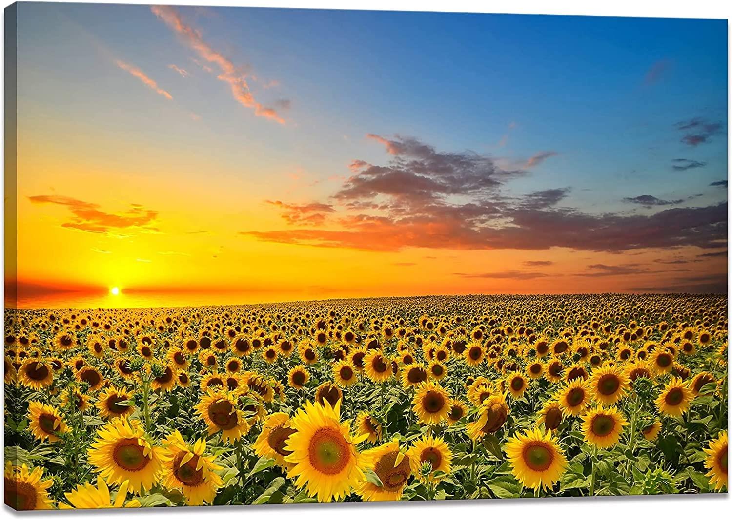 楽天市場】ひまわり 向日葵 の絵 絵画 70cmサイズ サンフラワー