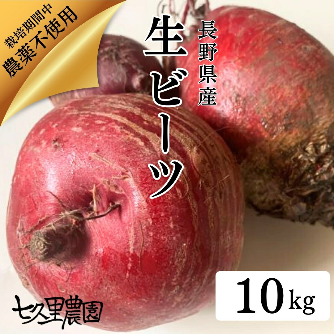 ビーツ　14㌔　三浦半島　農家直送　農薬不使用【栽培期間】 imgrc0107445004.jpg