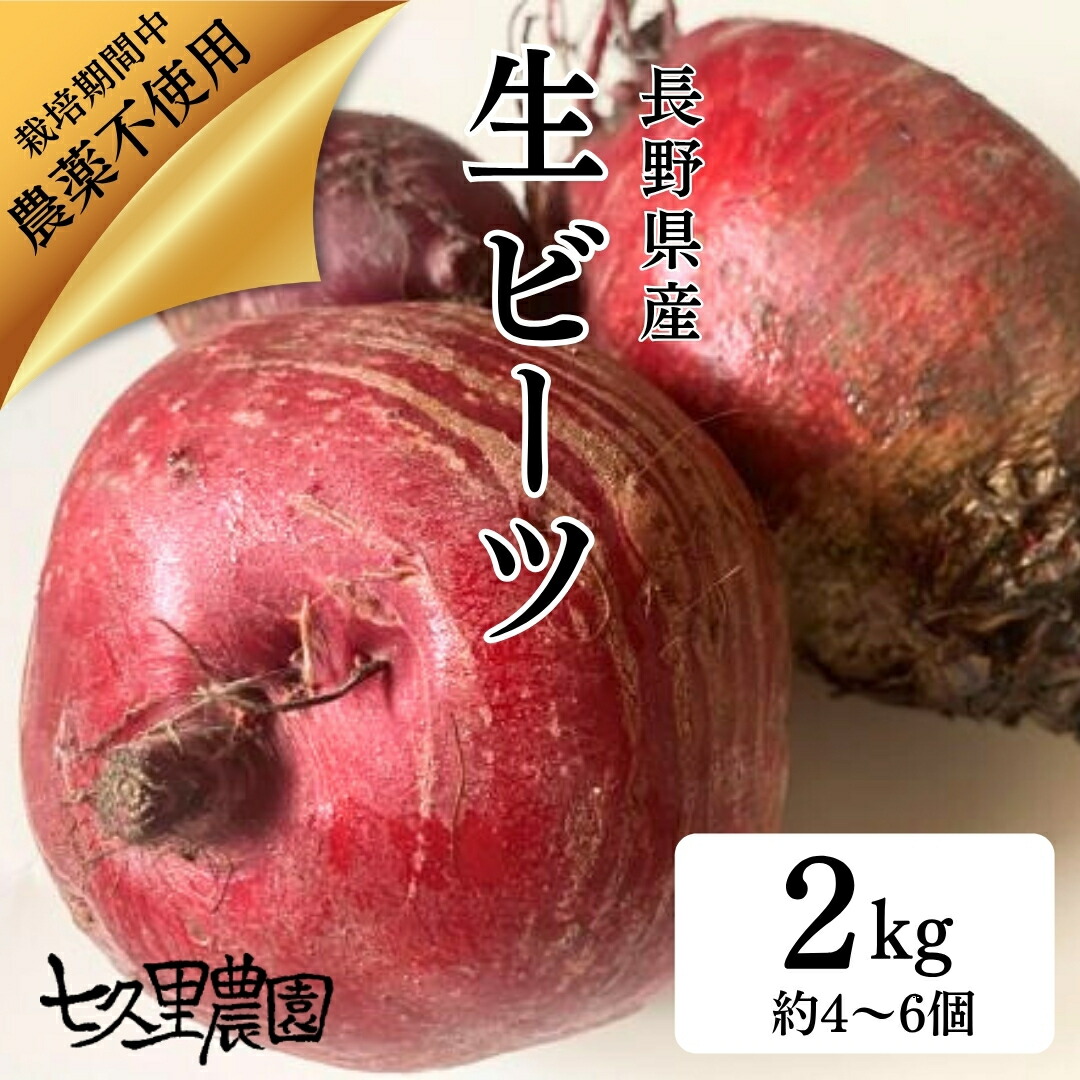 楽天市場】ビーツ 国産 1kg 生ビーツ 長野県産 産地直送