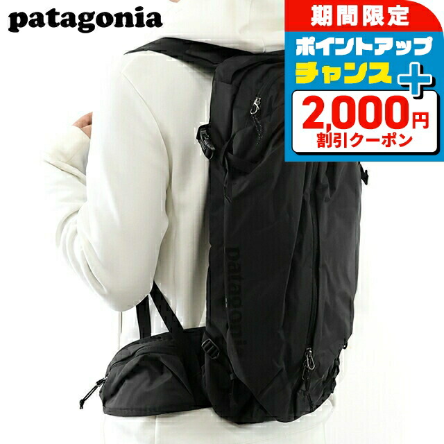 patagonia リュック patagonia-49045-1.jpg