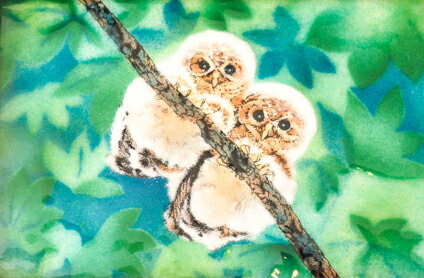 楽天市場】二羽のふくろう 七宝 七宝焼 額 アート アートフレーム 鳥