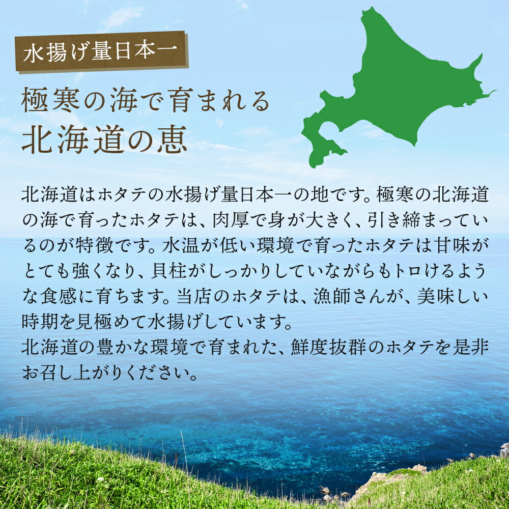 男女兼用 殻付きホタテ 1kg 入り 加熱用 冷凍 北海道産 殻付き帆立 ほたて貝柱 ほたて 貝柱 帆立 グルメ プレゼント 北海道 食品 貝 かい お取り寄せグルメ  海鮮 海鮮食品 海産物 高級 BBQ 海の幸 おつまみ 酒の肴 1000g 大容量 ギフト proscenio.es