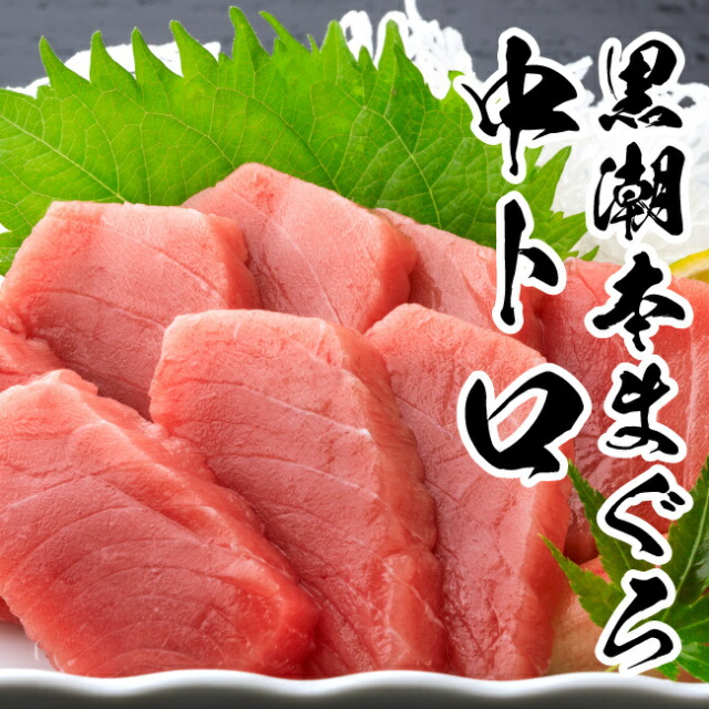 黒潮本まぐろ 赤身中トロ セット 冷凍 養殖 高知 土佐 黒鮪 プレゼント 各150g ギフト 本鮪 大月町