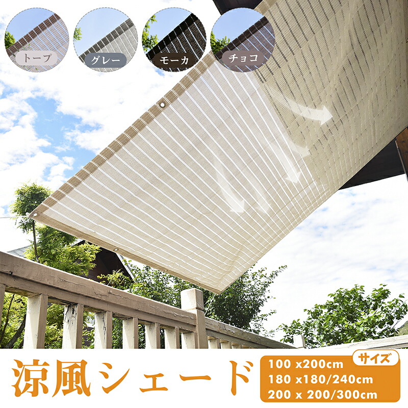 imgrc0145470676.jpg