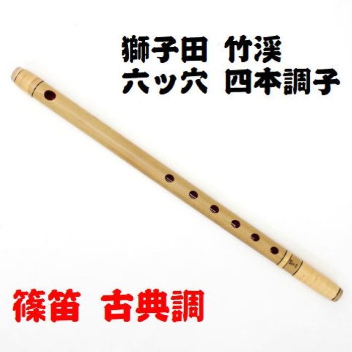 【現金特価】 imgrc0099907208.jpg 和楽器