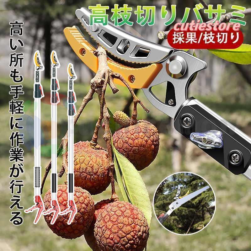 高枝切りバサミ 3m 4m 5m 伸縮式高枝切鋏 鋸付き添い人 伸縮式 切り下げる鋏 高枝鋏 高枝用 SK5 高さ 園芸用剪刀 太枝切鋏 枝切り 枝分け