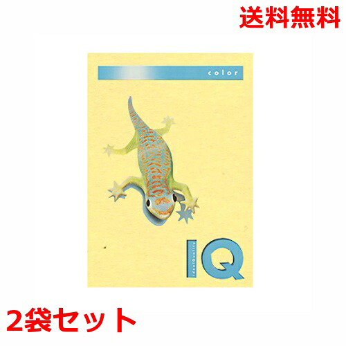 伊東屋 バイオトップカラー 120g A4 BT703 イエロー 250枚×2 モンディ