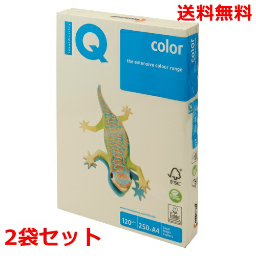 伊東屋 バイオトップカラー 120g A4 BT730 バニラ 250枚×2 モンディ