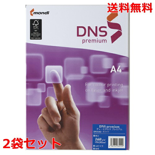 伊東屋 DNSプレミアム A4 160g DNS502 250枚×2 モンディ