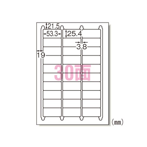 エーワン 31146 ラベルシール A4 30面 100シート 送料無料