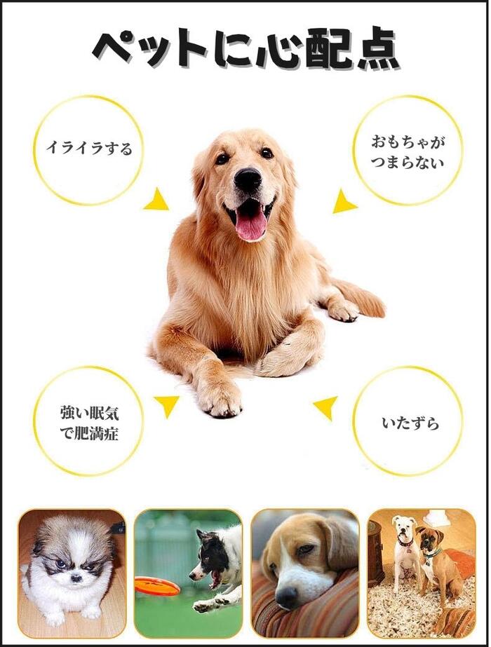 楽天市場 犬用 噛むおもちゃ ペット 歯磨き 玩具 音が鳴る いたずら防止 歯石防止 歯ぎしり 骨 かわいい 人気 小型犬 中型犬 大型犬 プレゼント 全犬種 送料無料 南国sun