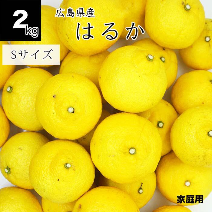 楽天市場】【送料無料】国産レモン 1kg 広島県産 減農薬レモン 約8〜10 