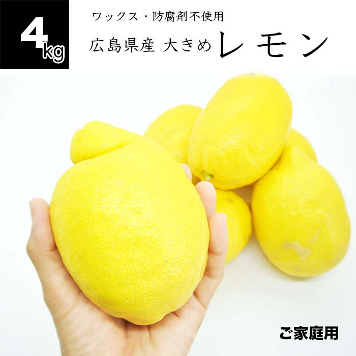 【楽天市場】【送料無料】国産レモン 夏のレモン 4kg 広島県産 健ちゃんファームの夏のジャンボレモン 11～18個前後 4Lサイズ以上