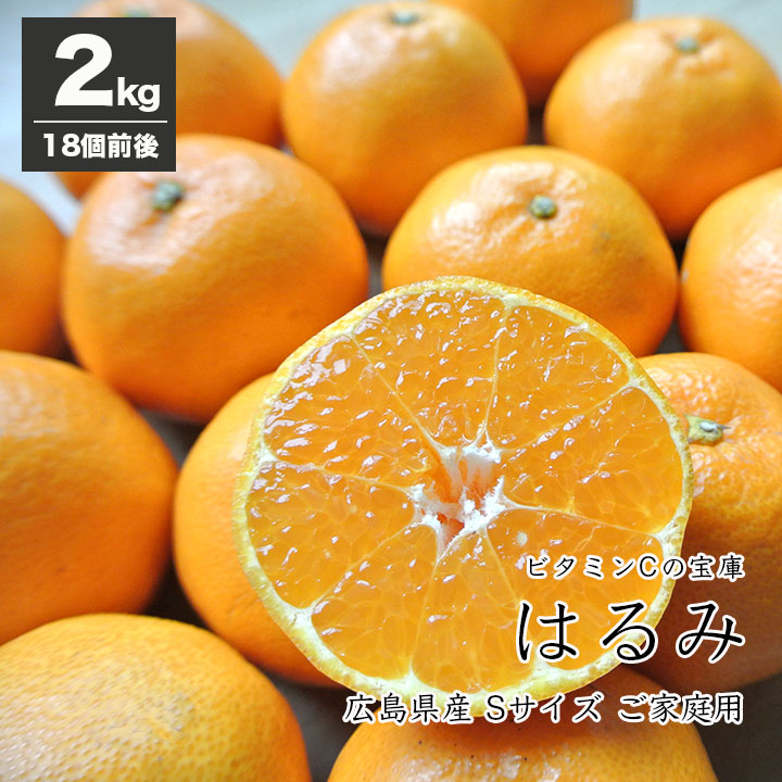 楽天市場】広島せとだ自然熟「葉付きはるみ」広島「はるみ」みかん