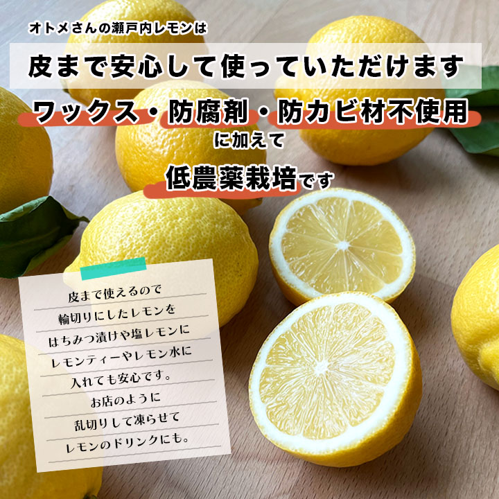 売切り特価 国産 レモン 広島県産 無農薬 レモン 瀬戸内レモン 2kg