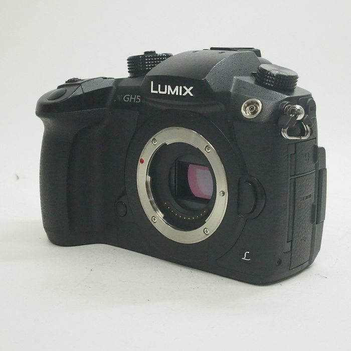 【中古】 (パナソニック) Panasonic DC-GH5 ﾎﾞﾃﾞｨ【中古カメラ デジタル一眼】 ランク：B