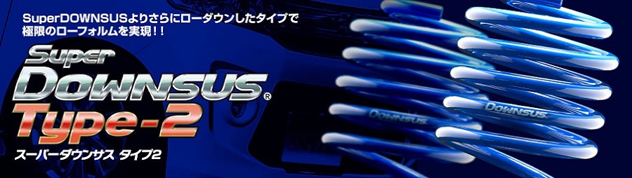 【割引クーポン配布中】ESPELIR/エスペリア　スーパーダウンサス　Type2　1台分 トヨタ カローラスポーツ/ZWE213H G/G X 品番：EST6663