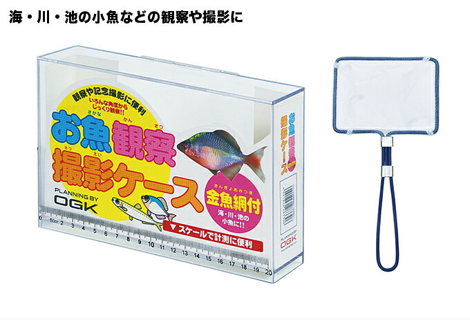 楽天市場】プロマリン わくわく観察ケース LL LET200-LL : 釣具の通販 南紀屋楽天市場店