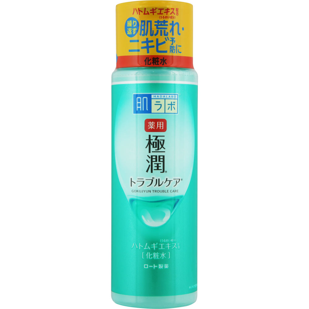 g化粧水、wベース、各1個、スポンジ3 楽天市場】ロート製薬 ハダラボ肌研 薬用極潤スキン