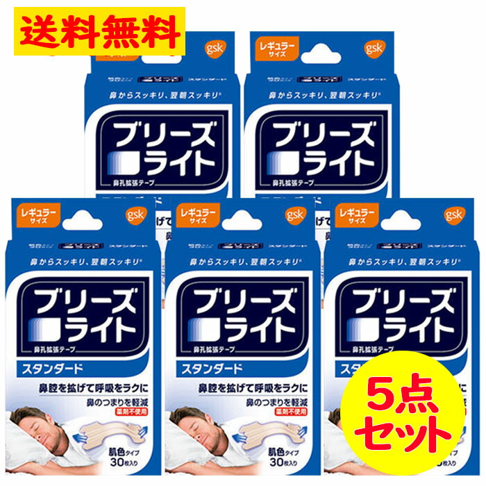 鼻ブリーズライト スタンダード レギュラーサイズ 肌色タイプ 30枚入り 5点セット グラクソ スミスクライン 花粉 全国送料無料 追跡可能メール便 クライマーズ 小説を書いていて楽しかった Diasaonline Com