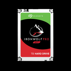Ｓｅａｇａｔｅ Seagate Ironwolf Pro 内蔵HDD 30結核症(ST30000NT011) 準拠集団店卸し資産\u003d△