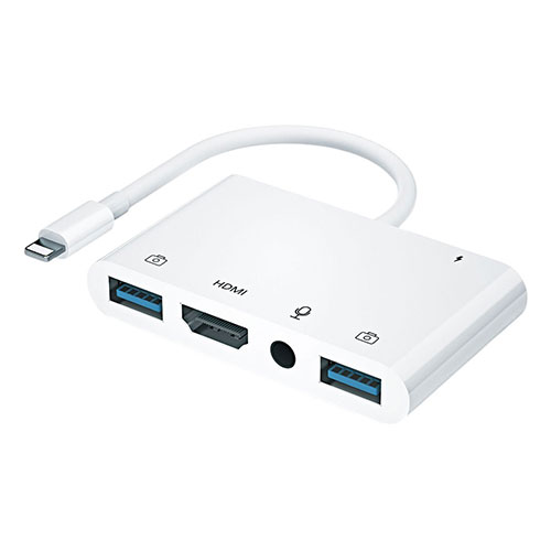日本トラストテクノロジー マイドックステーション 5-IN-1 iOSポート搭載のiPhoneやiPadの機能を拡張(JTMD-5IN1-L) 取り寄せ商品