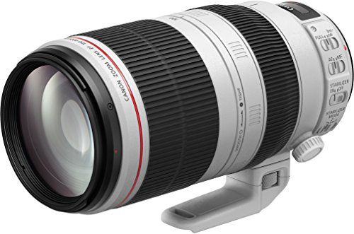 楽天市場】キヤノン EF100-400mm F4.5-5.6L IS II USM 9524B001 【送料