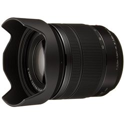 パナソニック Panasonic デジタル一眼写真機用取り替えっこ水晶体(黒いこと) H-FS12060 取り寄せ商いもの