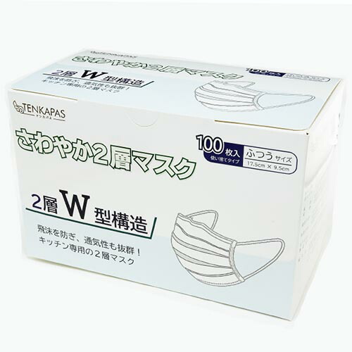 TENKAPAS 2層恍ける 5000枚 (1箱100枚入×50箱) レギュラー大いさ(mask07) 取り寄せ商いもの 衛生日用品・衛生医療品-衛生マスク・フェイスシールド
