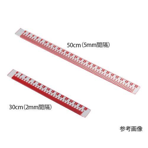 X線大リーグ 30糎 (1個)(7-4649-01) 取り寄せ商いもの