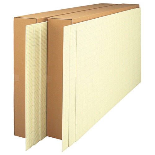 TPS のり付パネル A1 910×605×5mm 1ケース(10枚)(#AA1-5-10) 取り寄せ商品