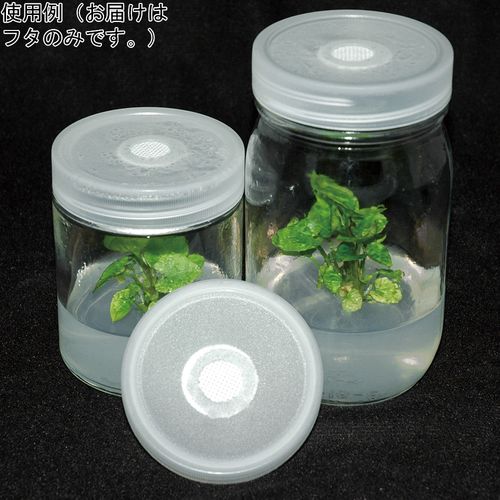 PhytoTechnology　Laboratories,　LLC 植物培養容器 ベント付きフタ 25個入 (1箱(25個入り))(4-4848-05) 目安在庫\u003d△