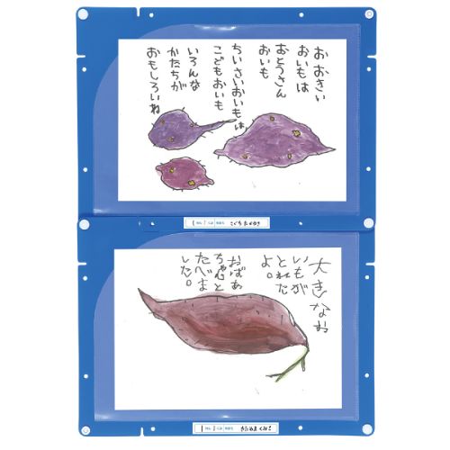 ARTEC 【50個セット】 縦横連結掲示ホルダー A4(ATC3614X50) 取り寄せ商品