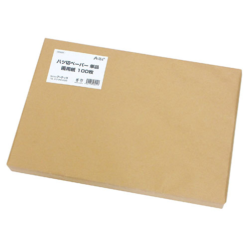 ARTEC 【100枚×5セット】 八切ペーパー単品画用紙 4穴(ATC3454X5) 取り寄せ商品