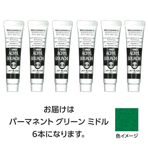ターナー色彩 【6本×5セット】 アクリルガッシュ 11ml 43パーマネントGRミドル(TURNER108816X5) 取り寄せ商品