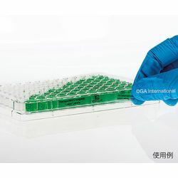 GA International 透明リムーバブル低温ラベル（レーザープリンタータイプ） 114ラベル×16シ(TRCL-11) 取り寄せ商品