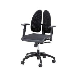 アズワン バック楽チェア（腰サポート）　肘掛付き (1個)(WR-920R) 取り寄せ商品｜ナノズ　店