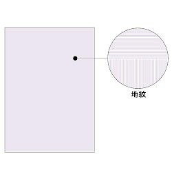 ヒサゴ HISAGO 転写物捏ち上げる止めること質問用紙釣り浮き文字記号印字機A4両面 1000枚入り口・入口 BP2110Z 取り寄せ商いもの