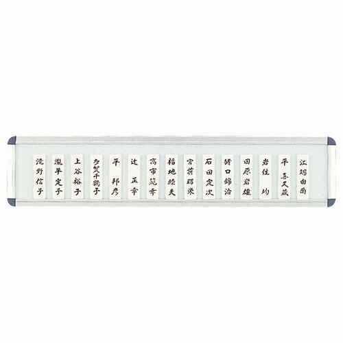 ライオン事務器 LION 社員一覧表 25枚1段用 W605×H130×D15mm 1枚(No.25N) 取り寄せ商品