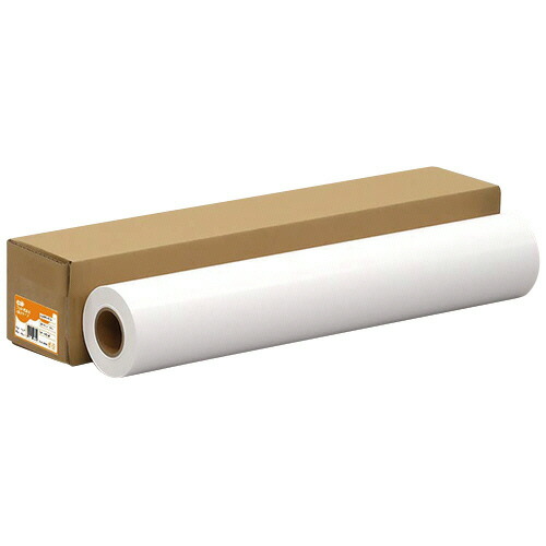 TPS インクジェット用フォト光沢紙 RCベース 42インチロール 1067mm×30.5m 1本(IJPL200-42N) 取り寄せ商品