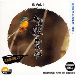 想い浮かべる地べた 仕立て上げる原料品 鳥Vol.1(相応うos:WIN\u0026MAC) 取り寄せ商いもの