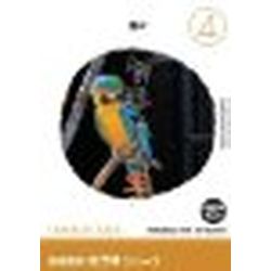 想い浮かべる地びた 仕立て上げる原材料 毛の荒物(4)鳥2(相応うos:WIN\u0026MAC)(935686) 取り寄せ商いもの