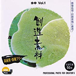 想い浮かべる地べた 仕立て上げる原料品 水中Vol.1(相応うos:WIN\u0026MAC) 取り寄せ商いもの