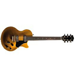 【美品】VOX SSC-55 エレキギター VOX SSC-55 Trans Black/Flame Maple <ヴォックス>｜平野楽器 ロッキン