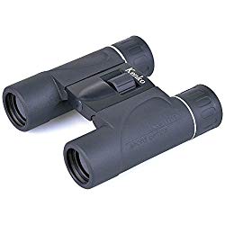 ＫｅｎｋｏＴｏｋｉｎａ(ケンコー・トキナー) ケンコ- 10X24DHSG SG1024DII(102065) メーカー在庫品
