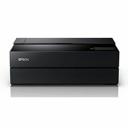 エプソン EPSON 労働者階級選りぬき/A2ノビインクジェット/10色えの具/有線・無線電話ローカルエリアネットワーク(SC-PX1VL) 取り寄せ商いもの