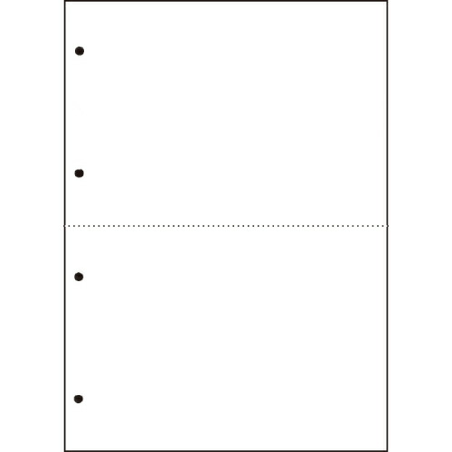 TPS 汎用マルチ手合い印刷人帳票 新規まき直し A4 2取りわける 4穴 1箱(2500枚:500枚x5冊)(CPPA42W25F) 準拠集団店卸し資産\u003d○