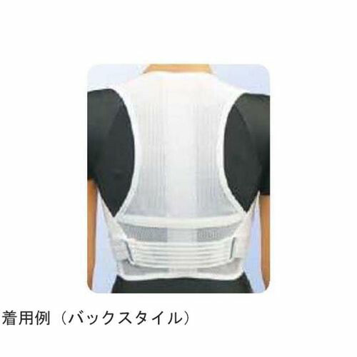 アシスト 背筋すっきりベルトワイドメッシュ（パッド付） S 00390(68-4061-77) 取り寄せ商品